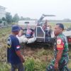 Panen Raya, Koramil 1603 Lohbener Monitoring Pendampingan Pertanian di Blok Bojong