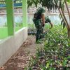 Koramil 1608 Karangampel Melaksanakan Bintahwil Dengan Melakukan Pemeliharaan Bibit Mangrove