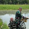 Babinsa Hebat, Koramil 1605 Sukagumiwang Melaksanakan Pendampingan Pengolahan Lahan Sawah