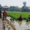 Dukung Program Presiden, Babinsa Koramil 1602 Sindang Melakukan Pendampingan Pertanian