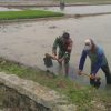 Babinsa Hebat, Koramil 1602 Sindang Bantu Petani Turun Langsung Lahan Persawahan